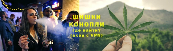 ГАЛЛЮЦИНОГЕННЫЕ ГРИБЫ Кукмор