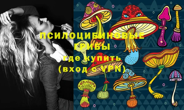 гидропоника Кулебаки