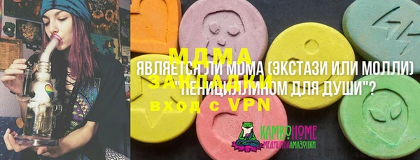 дурь Щучье