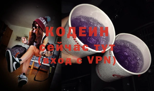ГАЛЛЮЦИНОГЕННЫЕ ГРИБЫ Кукмор
