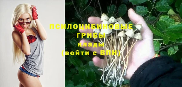 соль ск Куйбышев