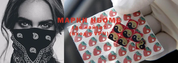 ГАЛЛЮЦИНОГЕННЫЕ ГРИБЫ Кукмор