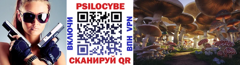 Псилоцибиновые грибы MAGIC MUSHROOMS  Владимир 